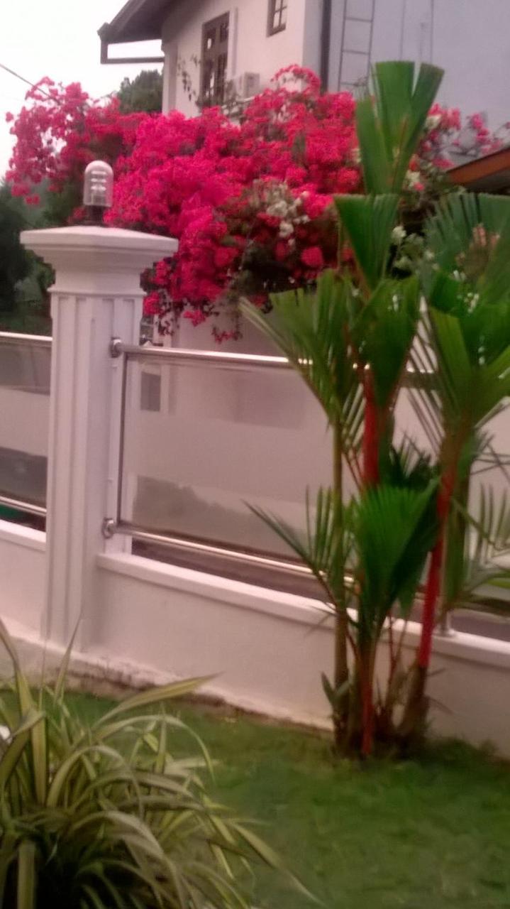 Anna Shanthi Villa Kandy Exterior photo
