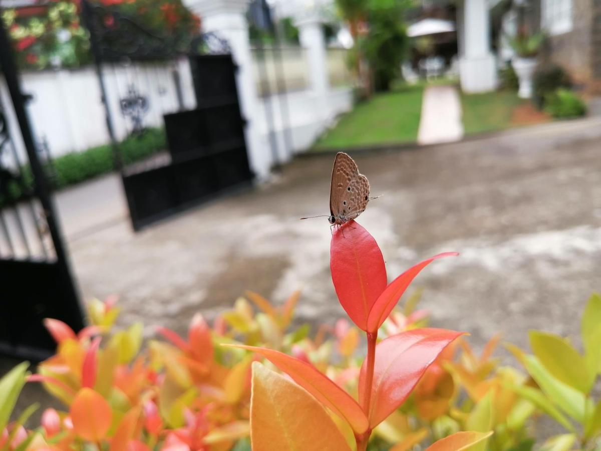 Anna Shanthi Villa Kandy Exterior photo